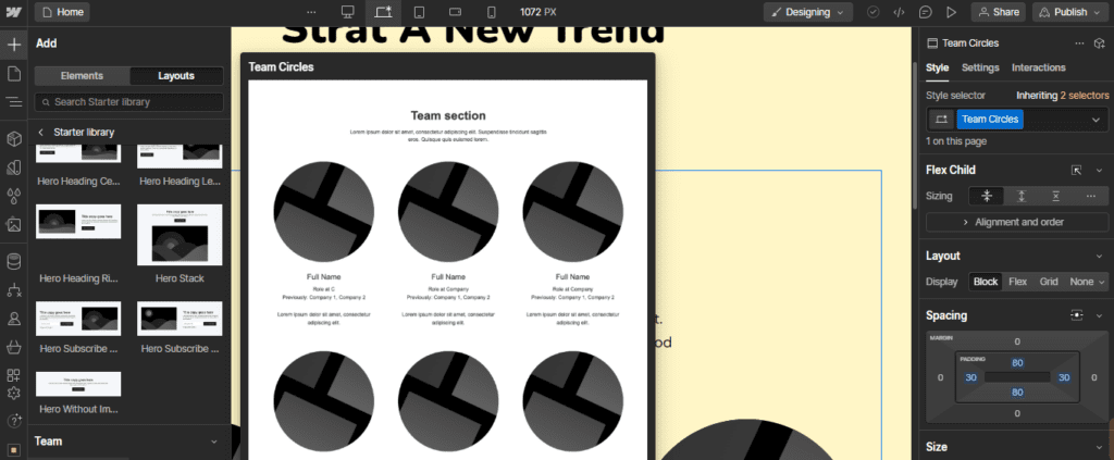 Webflow Interface